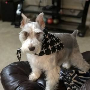 Meet your Posher, Beatriz